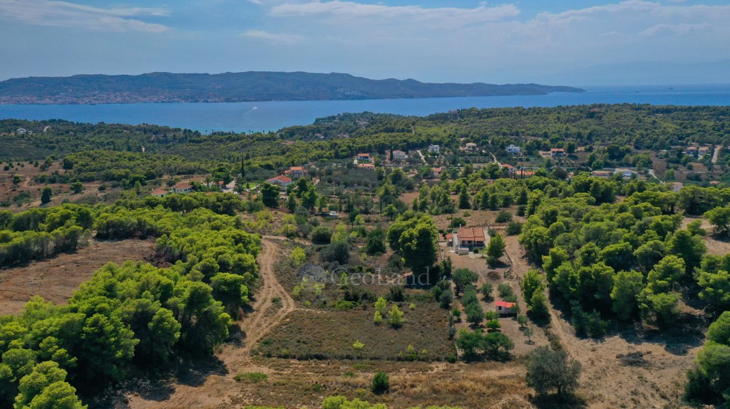 Αγροτεμάχια 6.300 τ.μ. πρός πώληση, Αργολίδα, Κρανίδι