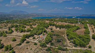 Αγροτεμάχια 6.300 τ.μ. πρός πώληση, Αργολίδα, Κρανίδι-thumb-12