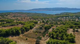 Αγροτεμάχια 6.300 τ.μ. για πώληση