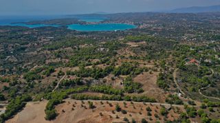 Αγροτεμάχια 6.300 τ.μ. πρός πώληση, Αργολίδα, Κρανίδι-thumb-8