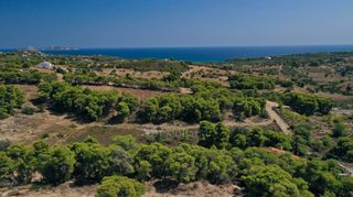Αγροτεμάχια 6.300 τ.μ. πρός πώληση, Αργολίδα, Κρανίδι-thumb-9
