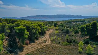 Αγροτεμάχια 6.300 τ.μ. πρός πώληση, Αργολίδα, Κρανίδι-thumb-7