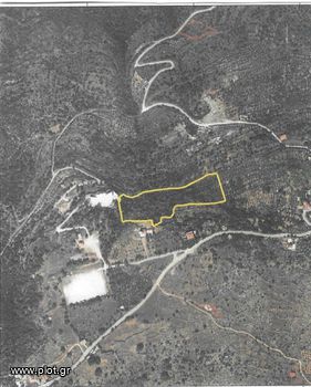 Αγροτεμάχια 12.000 τ.μ. για πώληση