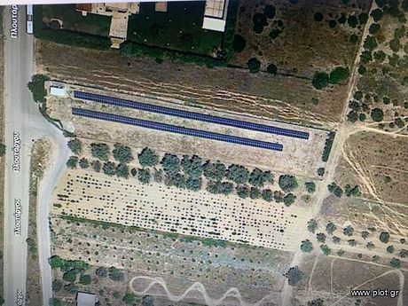 Αγροτεμάχια 4.300 τ.μ. για πώληση