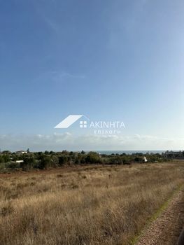 Parcel 4.000sqm for sale-Alexandroupoli » Nea Chili