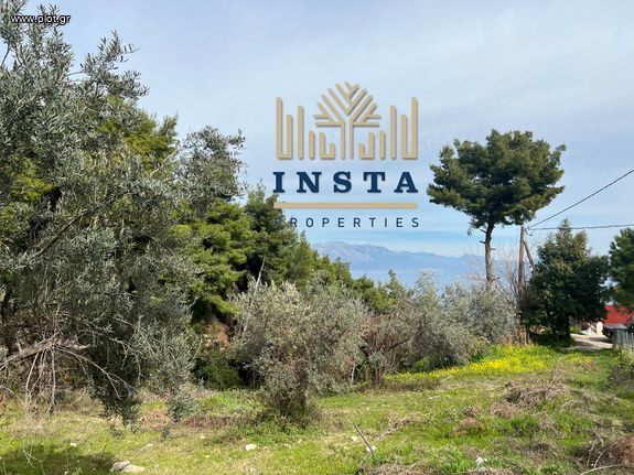 Parcel 400 sqm for sale, Rest Of Attica, Kalamos