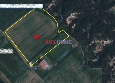 Αγροτεμάχια 6.250 τ.μ. για πώληση