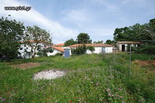 Βίλλα 253 τ.μ. για πώληση, Ν. Λέσβου, Λήμνος - Ατσική-thumb-11
