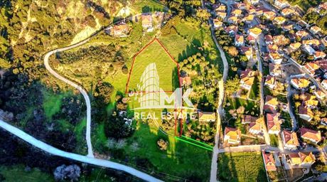 Οικόπεδο 850τ.μ. για πώληση-Σιθωνία » Νικήτη