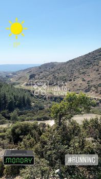 Αγροτεμάχια 20.000 τ.μ. για πώληση
