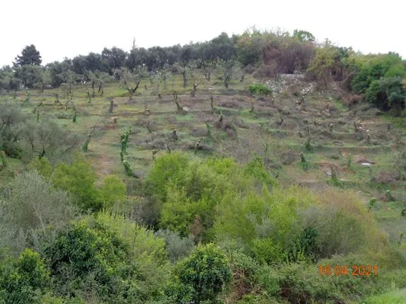 Οικόπεδο 14.414 τ.μ. για πώληση, Ν. Κέρκυρας, Κέρκυρα