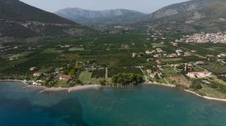Αγροτεμάχια 5.000 τ.μ. για πώληση, Αργολίδα, Επίδαυρος-thumb-19