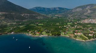 Αγροτεμάχια 5.000 τ.μ. για πώληση, Αργολίδα, Επίδαυρος-thumb-15