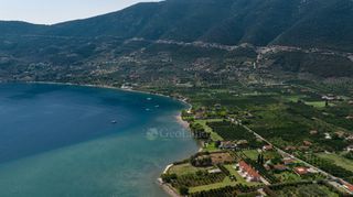 Αγροτεμάχια 5.000 τ.μ. για πώληση, Αργολίδα, Επίδαυρος-thumb-21