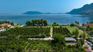 Αγροτεμάχια 5.000 τ.μ. για πώληση, Αργολίδα, Επίδαυρος-thumb-23