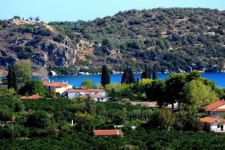 Αγροτεμάχια 5.000 τ.μ. για πώληση, Αργολίδα, Επίδαυρος-thumb-9