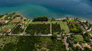 Αγροτεμάχια 5.000 τ.μ. για πώληση, Αργολίδα, Επίδαυρος-thumb-24