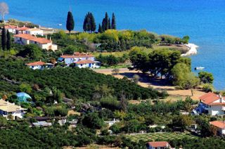 Αγροτεμάχια 5.000 τ.μ. για πώληση, Αργολίδα, Επίδαυρος-thumb-11
