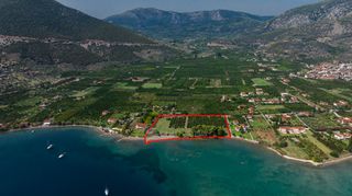 Αγροτεμάχια 5.000 τ.μ. για πώληση, Αργολίδα, Επίδαυρος-thumb-12