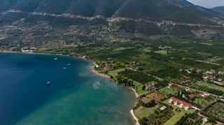Αγροτεμάχια 5.000 τ.μ. για πώληση, Αργολίδα, Επίδαυρος-thumb-14