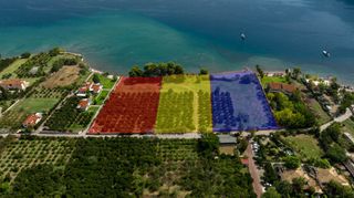 Αγροτεμάχια 5.000 τ.μ. για πώληση, Αργολίδα, Επίδαυρος-thumb-17