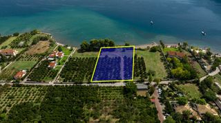 Αγροτεμάχια 5.000 τ.μ. για πώληση, Αργολίδα, Επίδαυρος-thumb-3