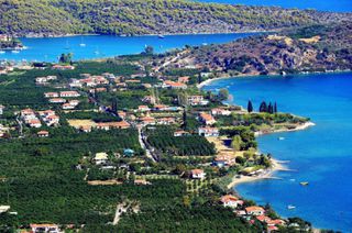 Αγροτεμάχια 5.000 τ.μ. για πώληση, Αργολίδα, Επίδαυρος-thumb-6