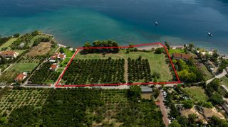 Αγροτεμάχια 5.000 τ.μ. για πώληση, Αργολίδα, Επίδαυρος-thumb-13