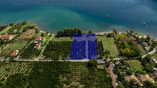 Αγροτεμάχια 5.000 τ.μ. για πώληση, Αργολίδα, Επίδαυρος-thumb-22