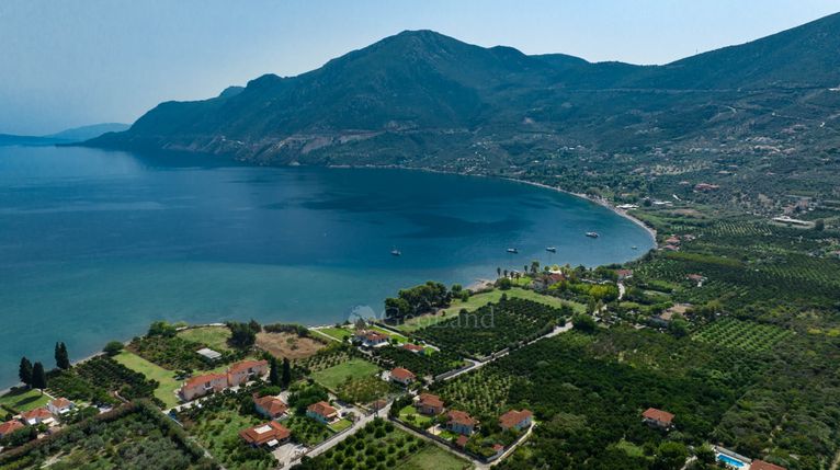 Parcel 5.000 sqm for sale, Argolis, Epidavros