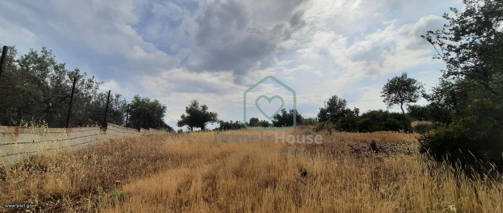 Αγροτεμάχια 3.588 τ.μ. πρός πώληση, Κορινθία, Άγιοι Θεόδωροι