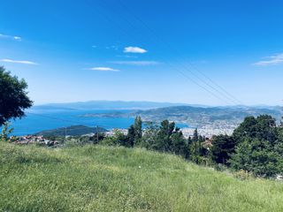Οικόπεδο 1.574 τ.μ. για πώληση, Μαγνησία, Πορταριά-thumb-9