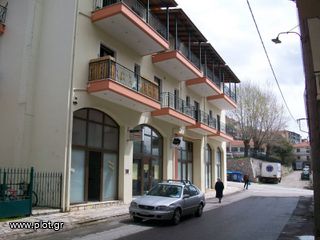 Κατάστημα 32 τ.μ. για ενοικίαση, Ευρυτανία, Καρπενήσι-thumb-7
