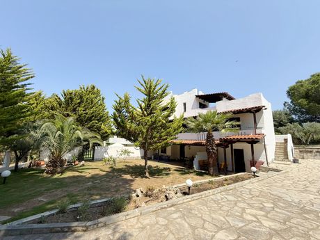 Ξενοδοχείο 150τ.μ. για πώληση-Σιθωνία » Νικήτη