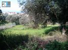 Land plot 2.300sqm for sale-Vrachneika » Monodendri