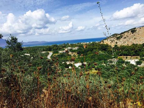 Land plot 19.000sqm for sale-Kissamos » Trachilos