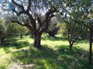 Land plot 907sqm for sale-Vrachneika » Monodendri