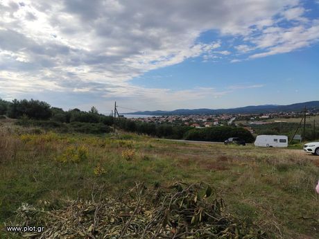 Parcel 4.339sqm for sale-Sithonia » Nikiti