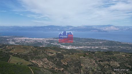 Αγροτεμάχια 11.300 τ.μ. για πώληση