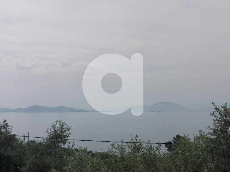 Οικόπεδο 2.400 τ.μ. πρός πώληση, Μαγνησία, Αφέτες