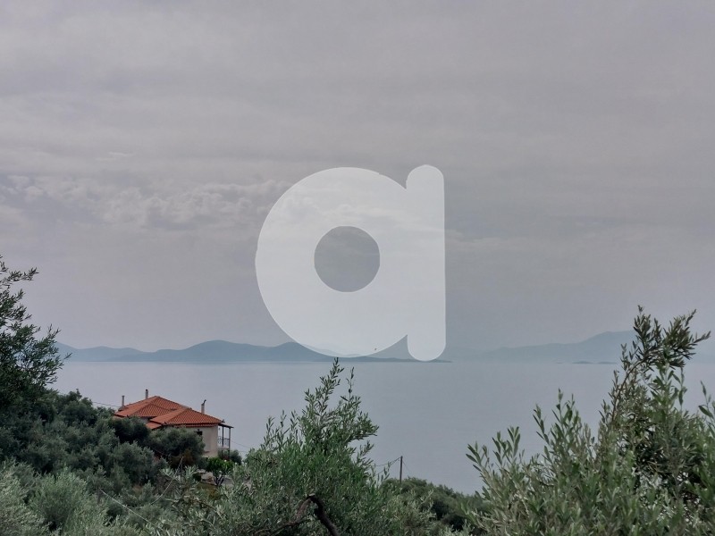 Οικόπεδο 2.400 τ.μ. πρός πώληση, Μαγνησία, Αφέτες