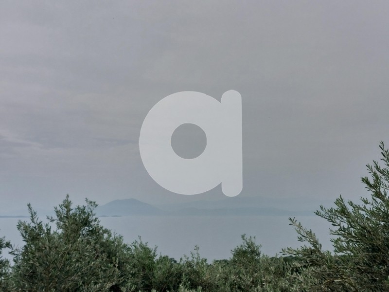 Οικόπεδο 2.400 τ.μ. πρός πώληση, Μαγνησία, Αφέτες