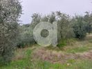 Land plot 2.400sqm for sale-Afetes » Afissos