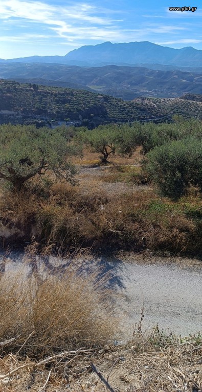 Οικόπεδο 1.000 τ.μ. προς πώληση, Βασιλείες