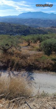 Land plot 1.000sqm for sale-Heraclion Cretes » Vasileies