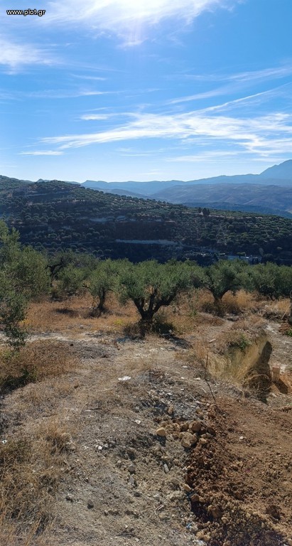 Οικόπεδο 1.000 τ.μ. προς πώληση, Βασιλείες