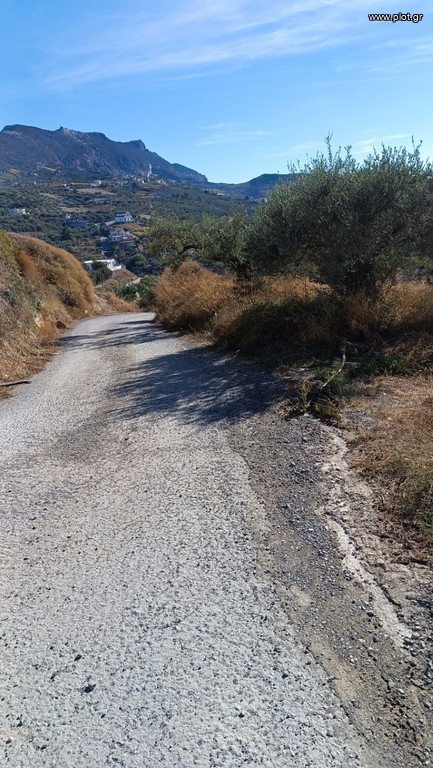 Οικόπεδο 1.000 τ.μ. προς πώληση, Βασιλείες
