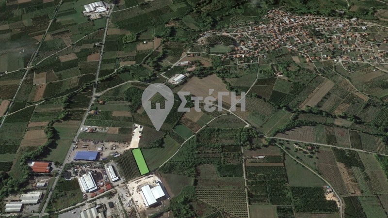 Αγροτεμάχια 4.530 τ.μ. πρός πώληση, Ημαθία, Ανθεμιά
