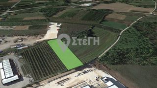 Αγροτεμάχια 4.530 τ.μ. για πώληση, Ημαθία, Ανθεμιά-thumb-2