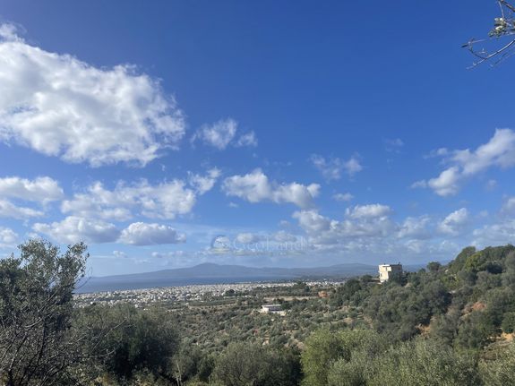 Αγροτεμάχια 17.400 τ.μ. για πώληση, Μεσσηνία, Καλαμάτα